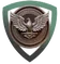 Delta Force Bronze rank