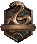 Multiplayer current rank