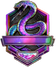 Call of Duty Iridescent rank