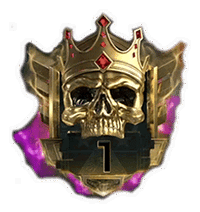 Call of Duty Top 250 Boost boosting service